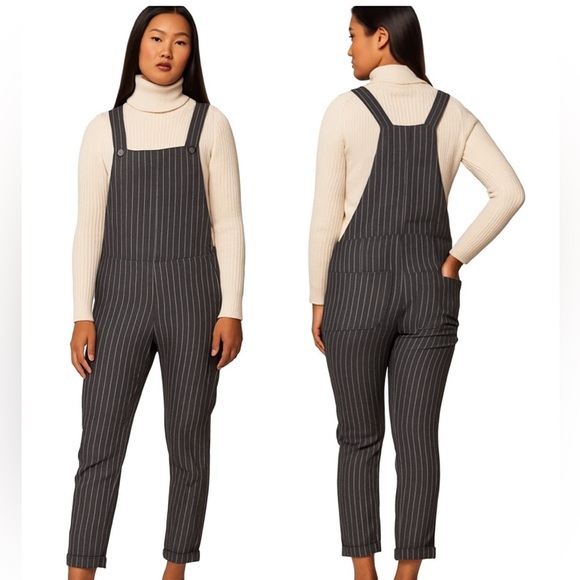Pyne & Smith Overall Size Small NWT Gray Pinstripe 100% Flax Linen Lagenlook - Picture 1 of 6